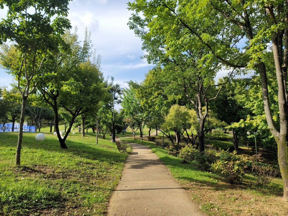 해맞이공원_전경