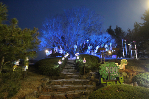 현풍 500년 느티나무 테마공원_8_야경