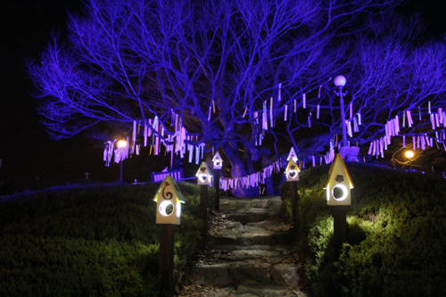 현풍 500년 느티나무 테마공원_9_야경