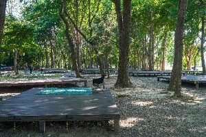 사문진피크닉장