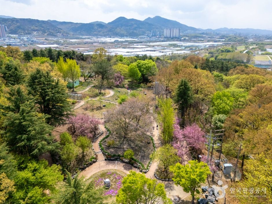 달성_화원동산 (2)