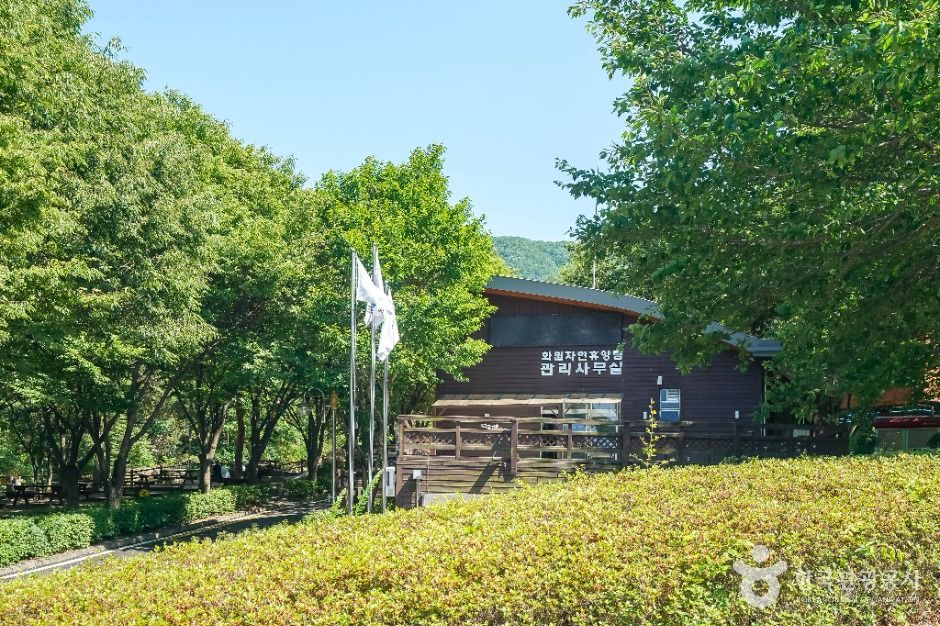 대구_화원자연휴양림 (1)