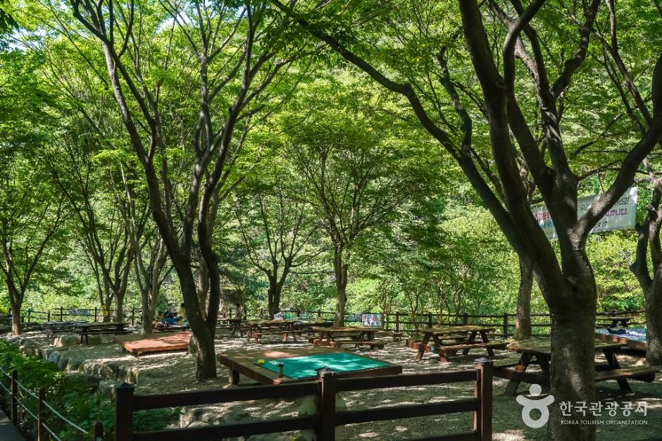 대구_화원자연휴양림 (3)