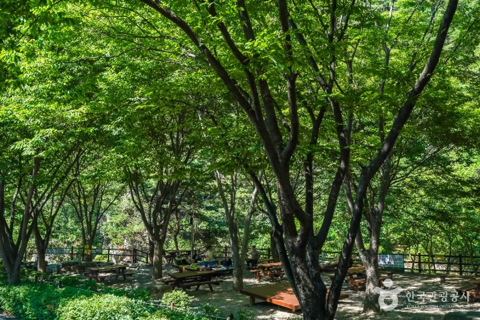 대구_화원자연휴양림 (4)