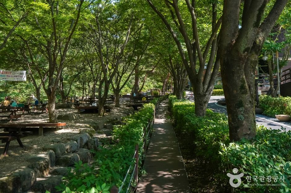 대구_화원자연휴양림 (7)