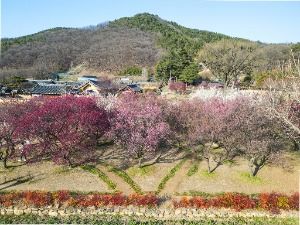 남평문씨본리세거지