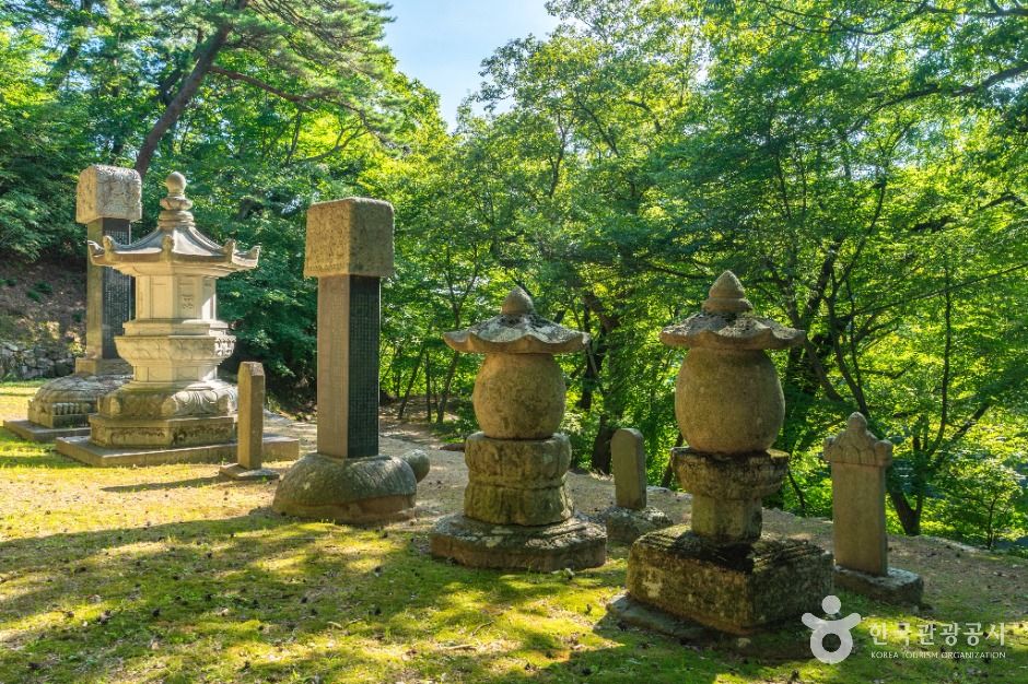 대구_회진당원의대사지비 (3)