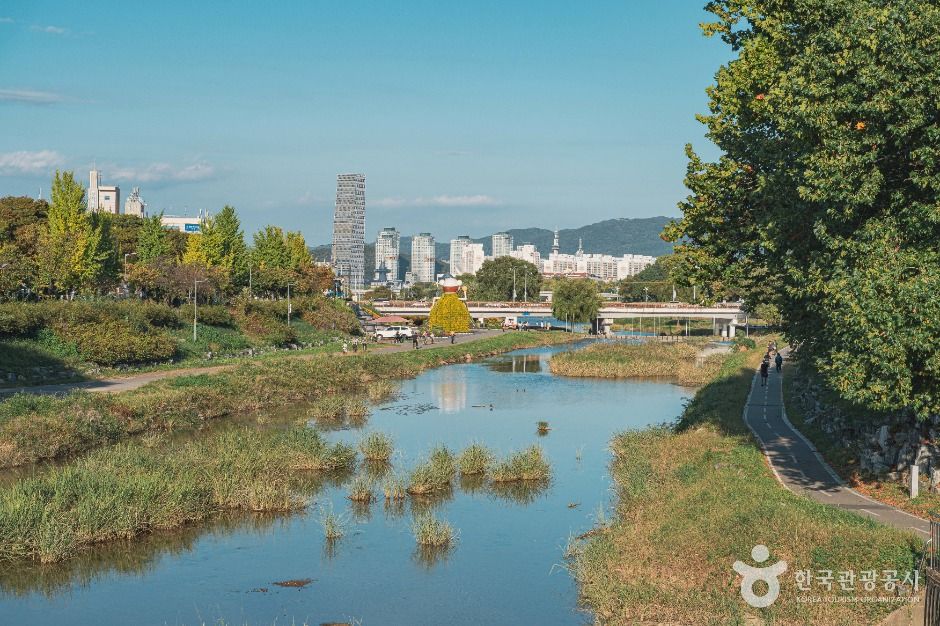 대전_갑천 (4)