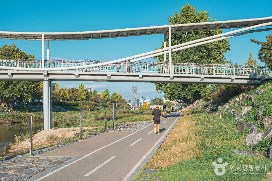 대전_갑천 (1)