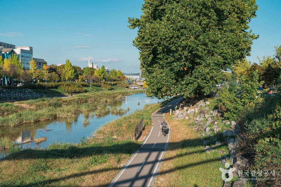 대전_갑천 (5)