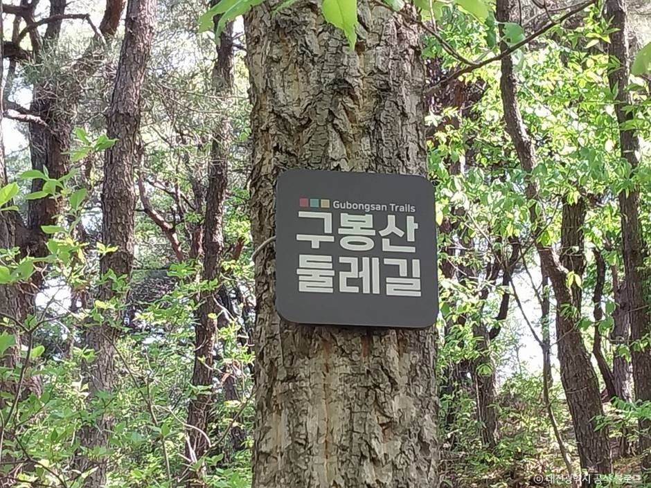 대전_구봉산(대전) (5)