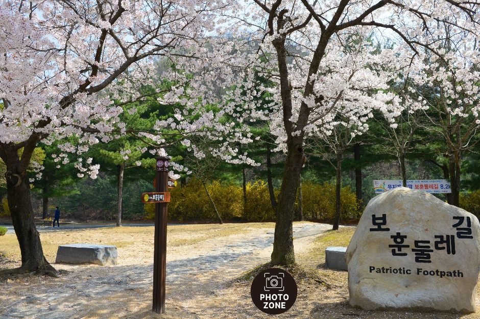 국립대전현충원 보훈둘레길