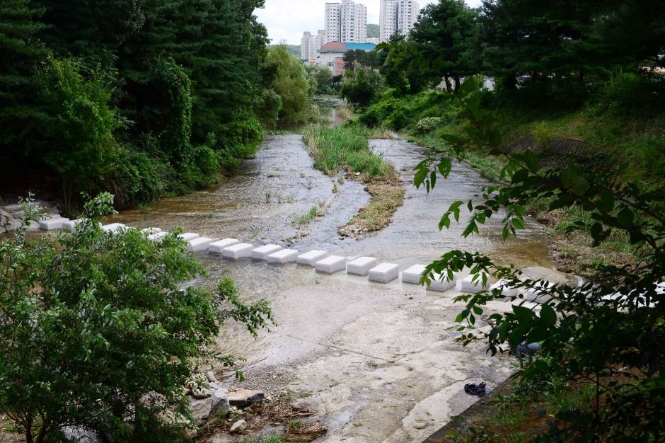 대전_국립대전현충원 보훈둘레길 (2)