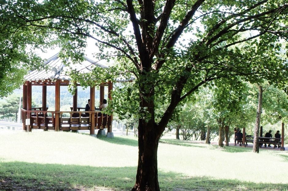 대전_국립대전현충원 보훈둘레길 (7)