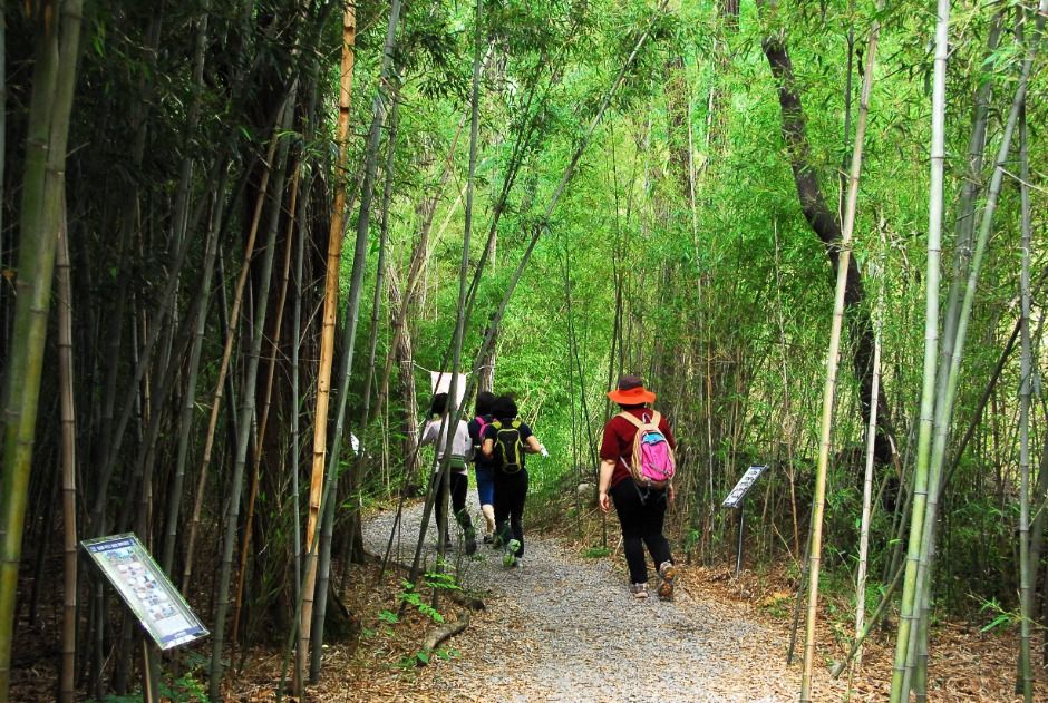 대전_국립대전현충원 보훈둘레길 (5)