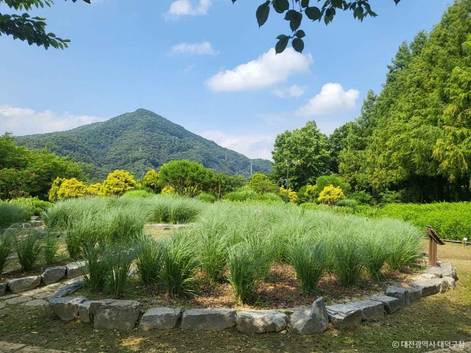 금강로하스 대청공원(암석식물원) (4)