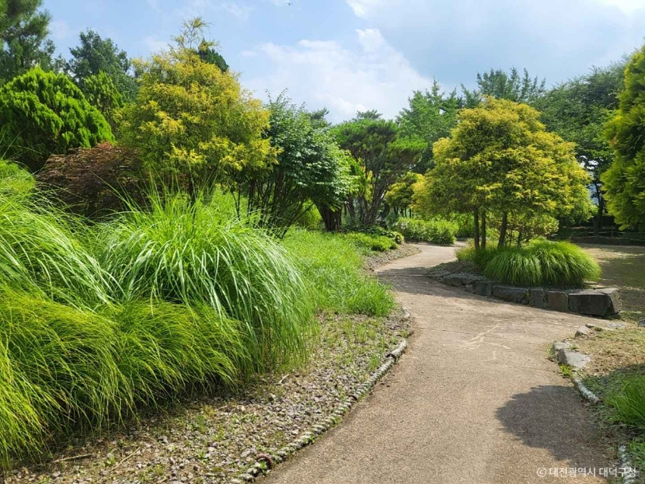 금강로하스 대청공원(암석식물원) (6)