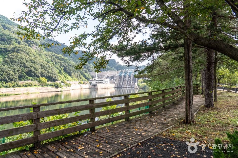 대덕_금강로하스대청공원 (5)
