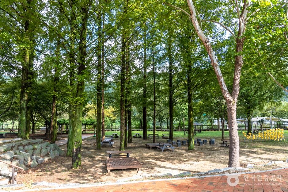 대덕_금강로하스대청공원 (7)