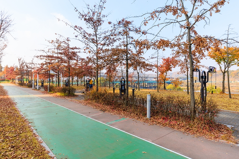 대전시_대덕구_금강로하스산호빛공원_산책로_2