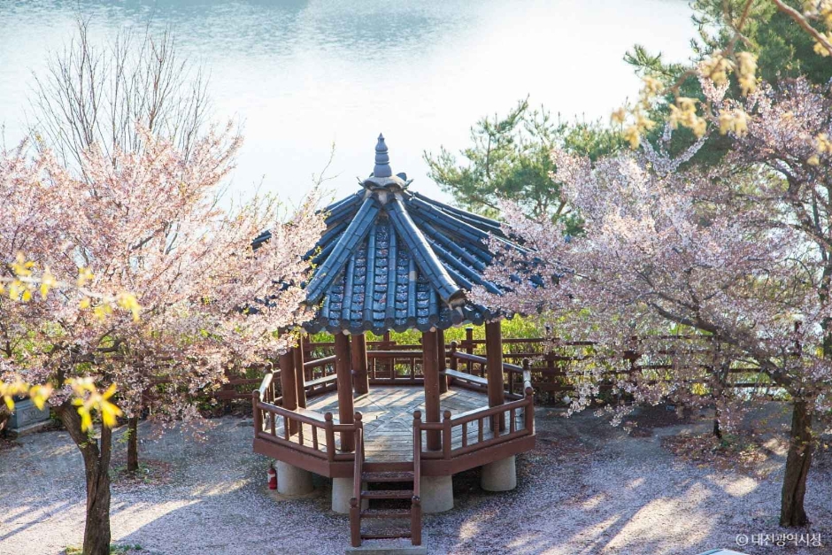 대전_동구_노고산 (14)