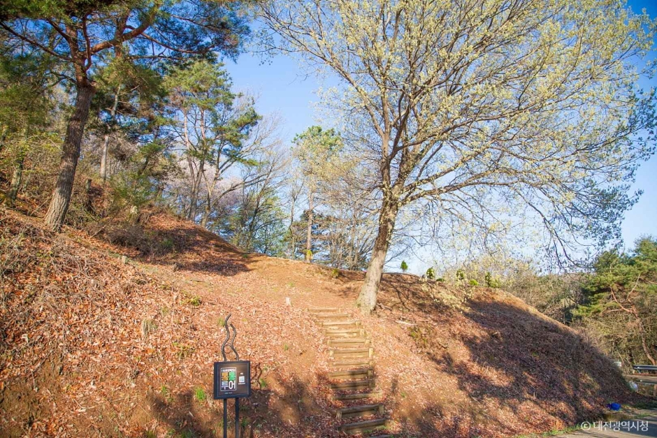 대전_동구_노고산 (15)