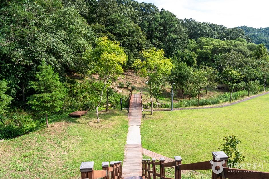 중구_대전 치유의 숲 (2)