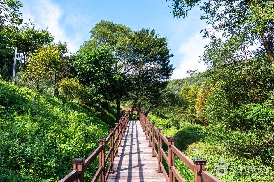 중구_대전 치유의 숲 (4)