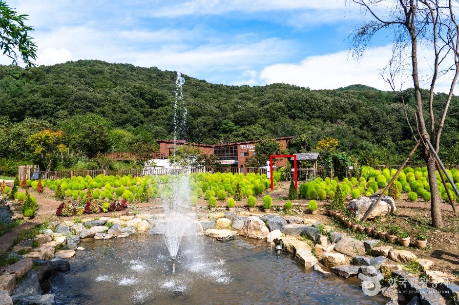 중구_대전 치유의 숲 (5)