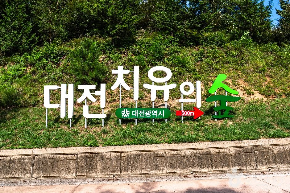 중구_대전 치유의 숲 (6)