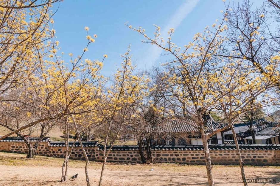 대전 회덕 동춘당 (4)