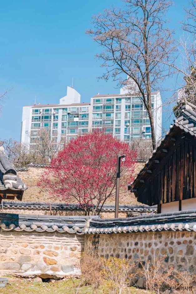 대전 회덕 동춘당 (7)