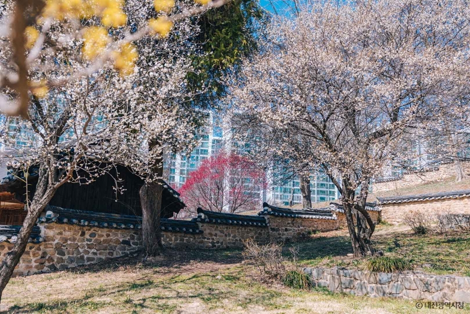 대전 회덕 동춘당 (8)