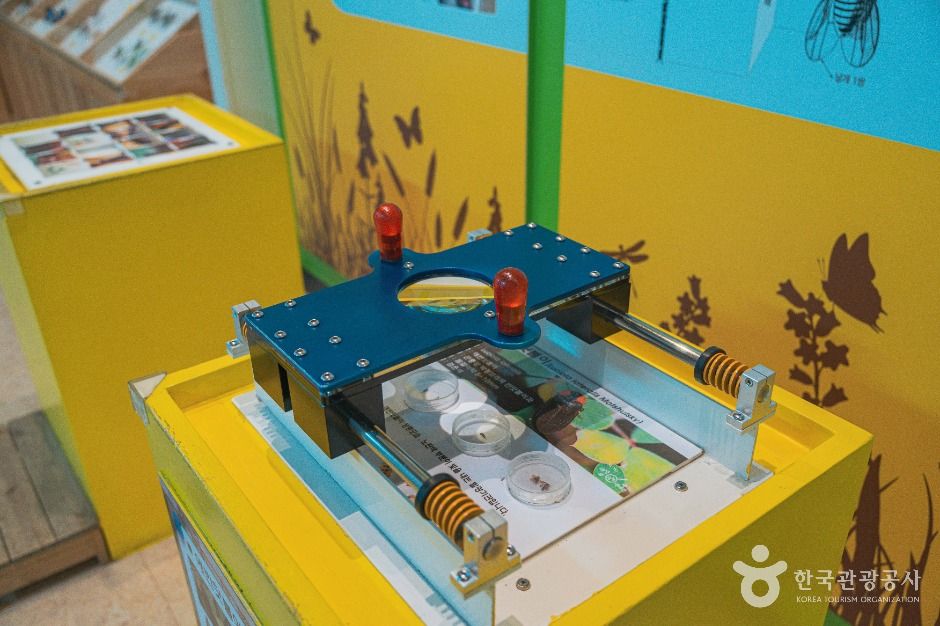 대전_대전곤충생태관 (5)