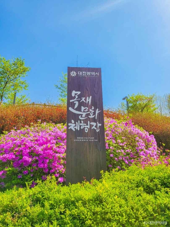 대전_중구_대전목재문화체험장 (2)