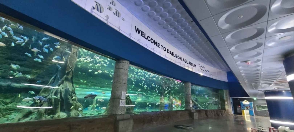 대전아쿠아리움 (7)