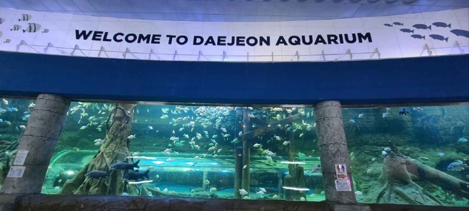 대전아쿠아리움 (8)