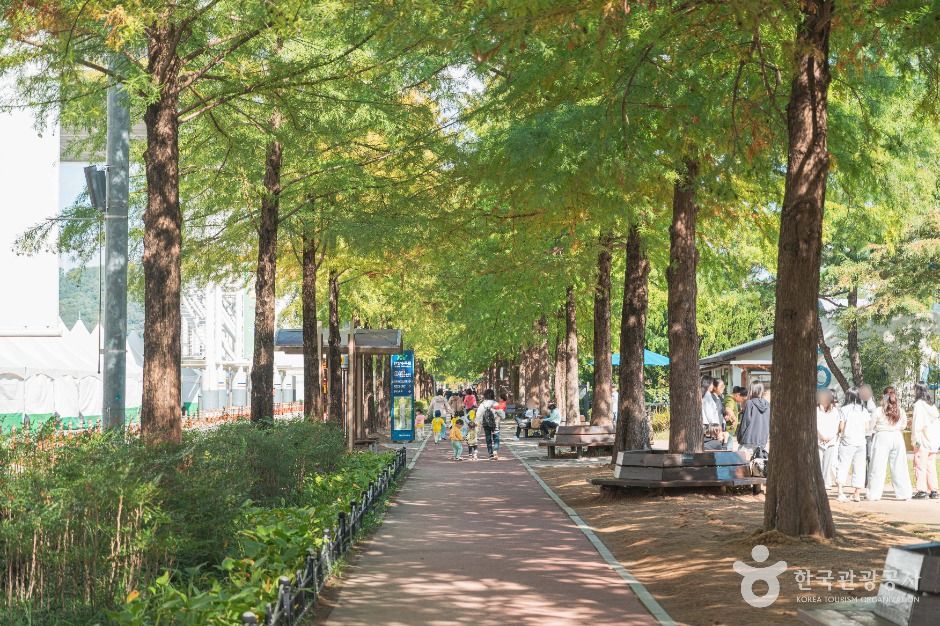 대전_엑스포시민광장 (3)