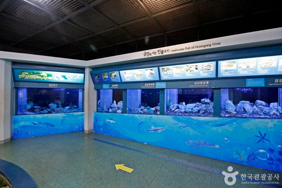 충북_청주_대청댐 (15)