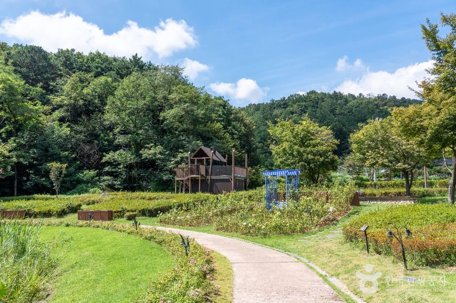 동구_대청호자연수변공원 (2)