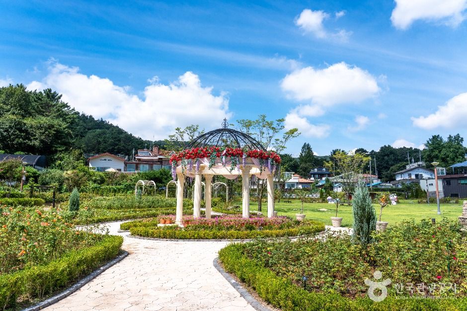 동구_대청호자연수변공원 (4)