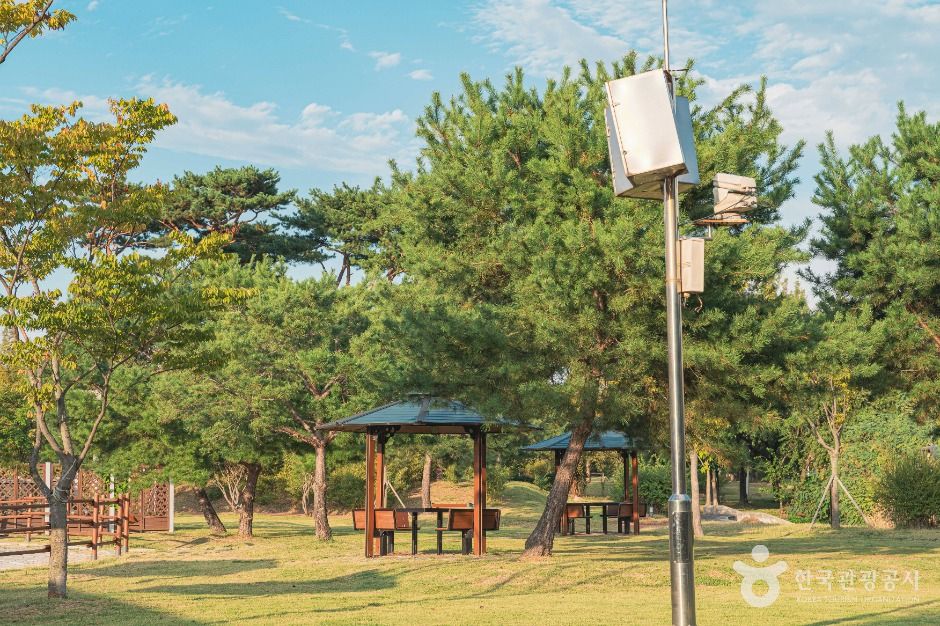 대전_동화울수변공원 (6)