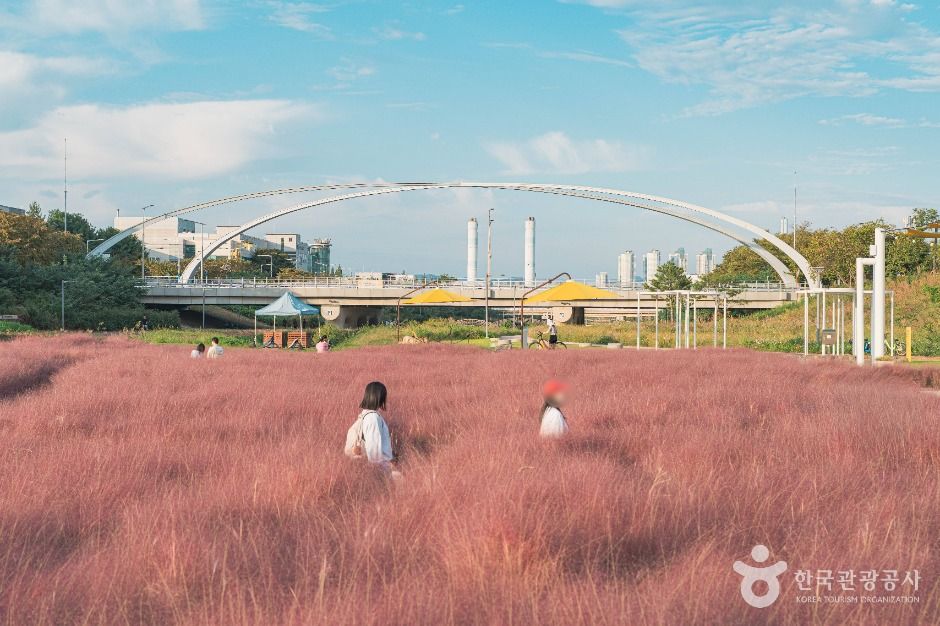 대전_동화울수변공원 (1)