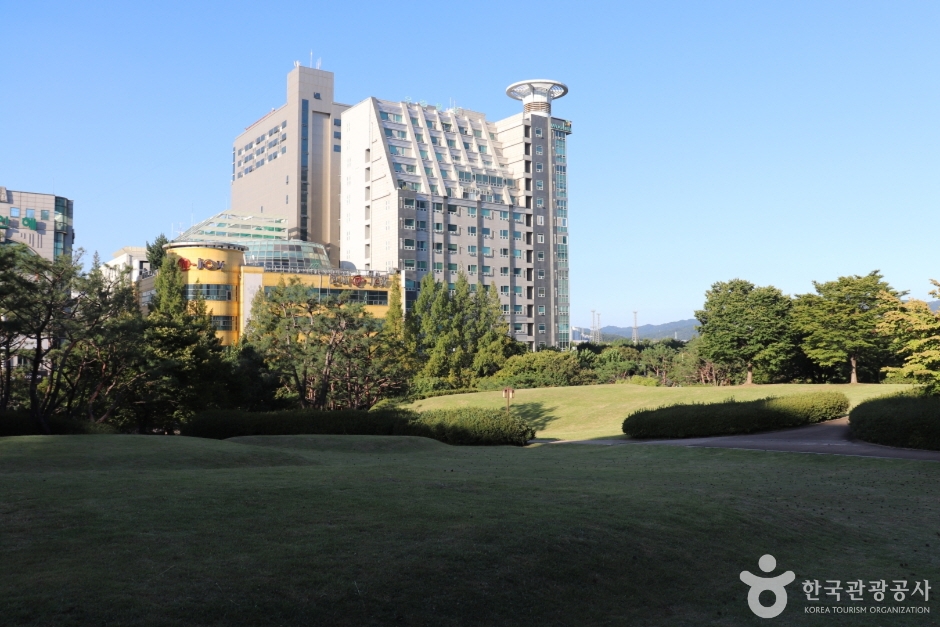 둔산선사유적지 8