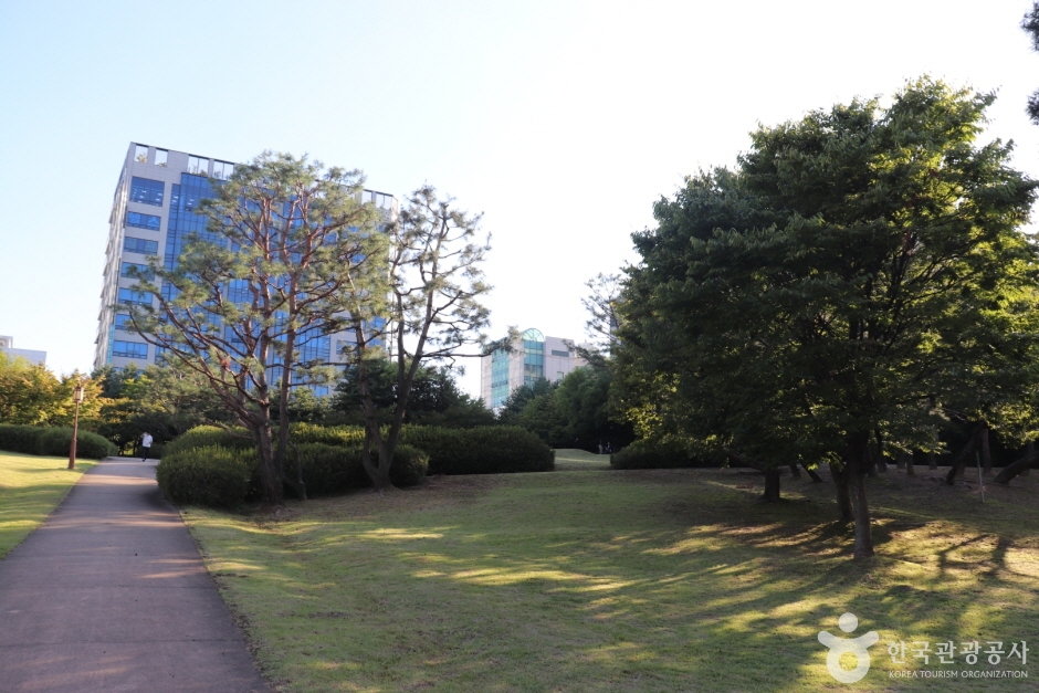 둔산선사유적지 10