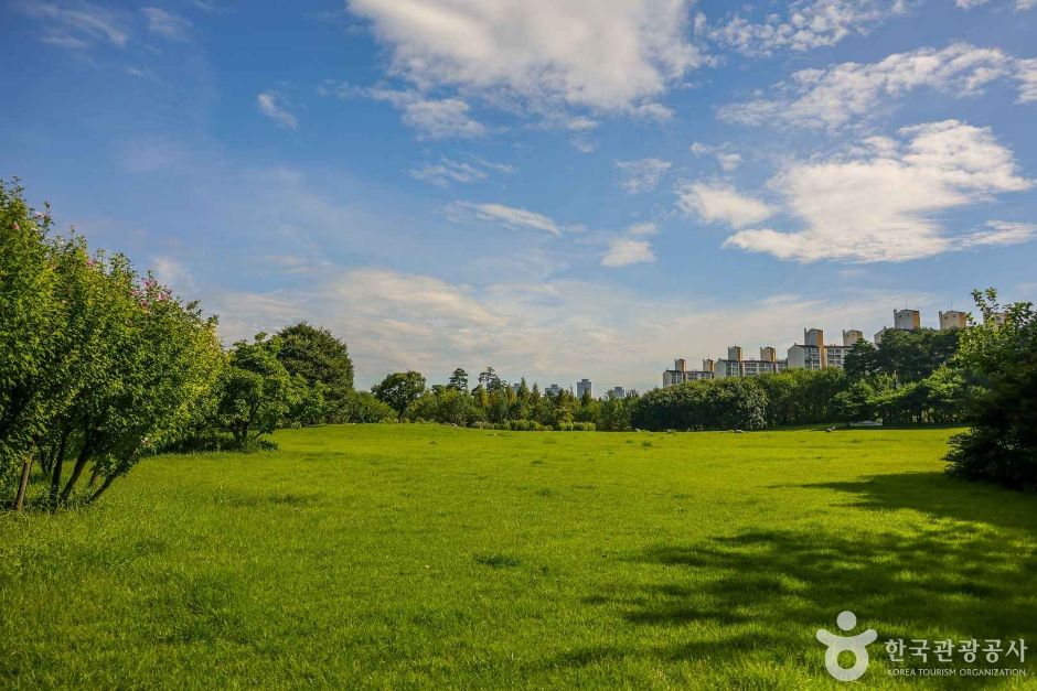 대전_서구_들의공원 (2)