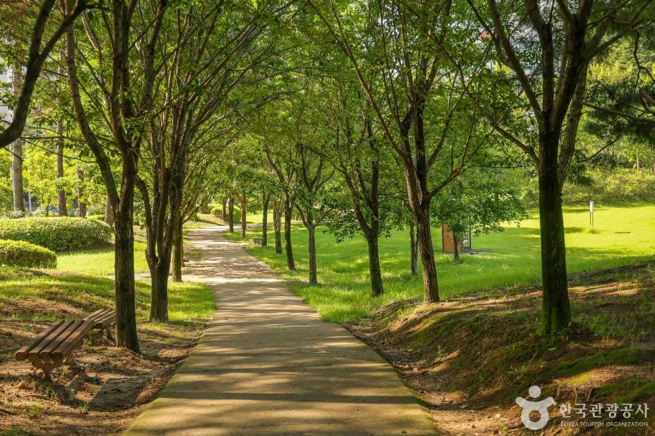 대전_서구_들의공원 (3)