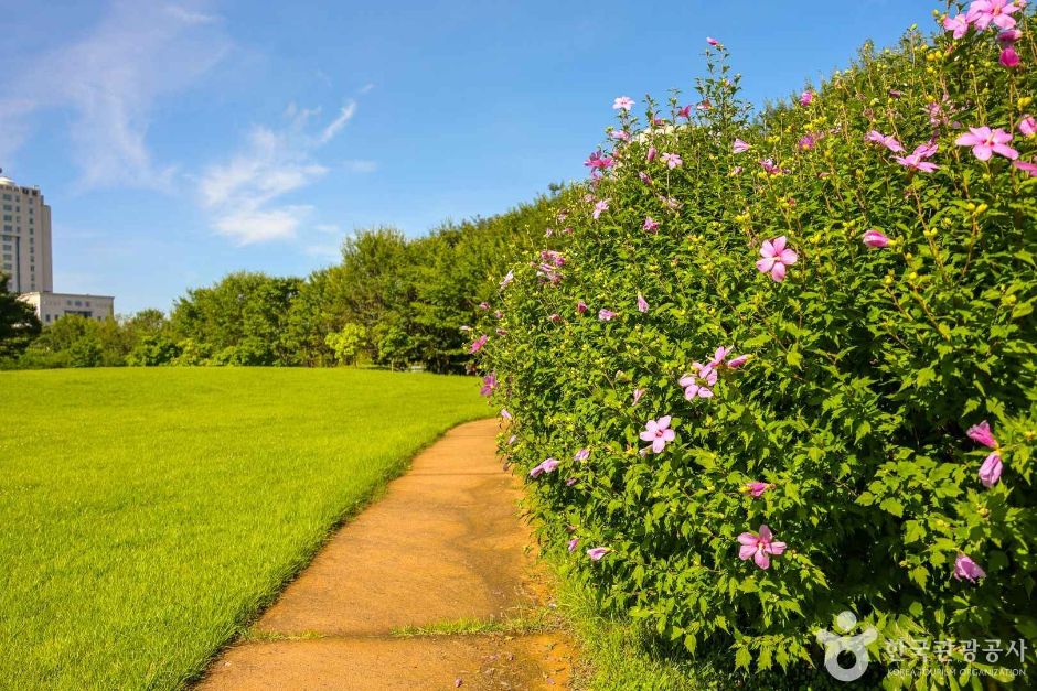대전_서구_들의공원 (5)