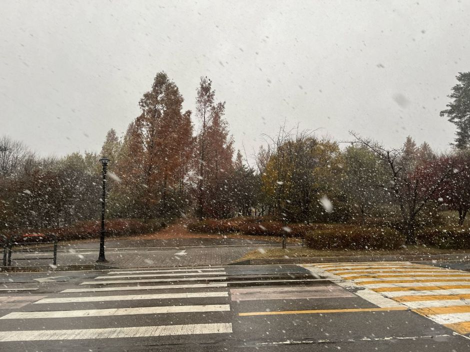 들의공원_전경2