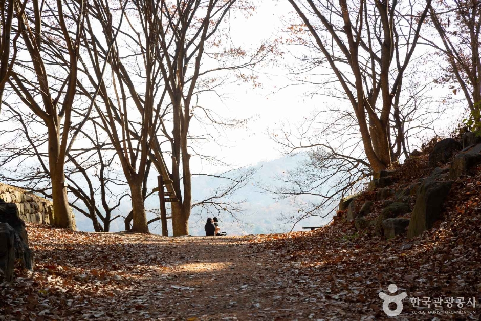 대전_동구_만인산 자연휴양림 (3)